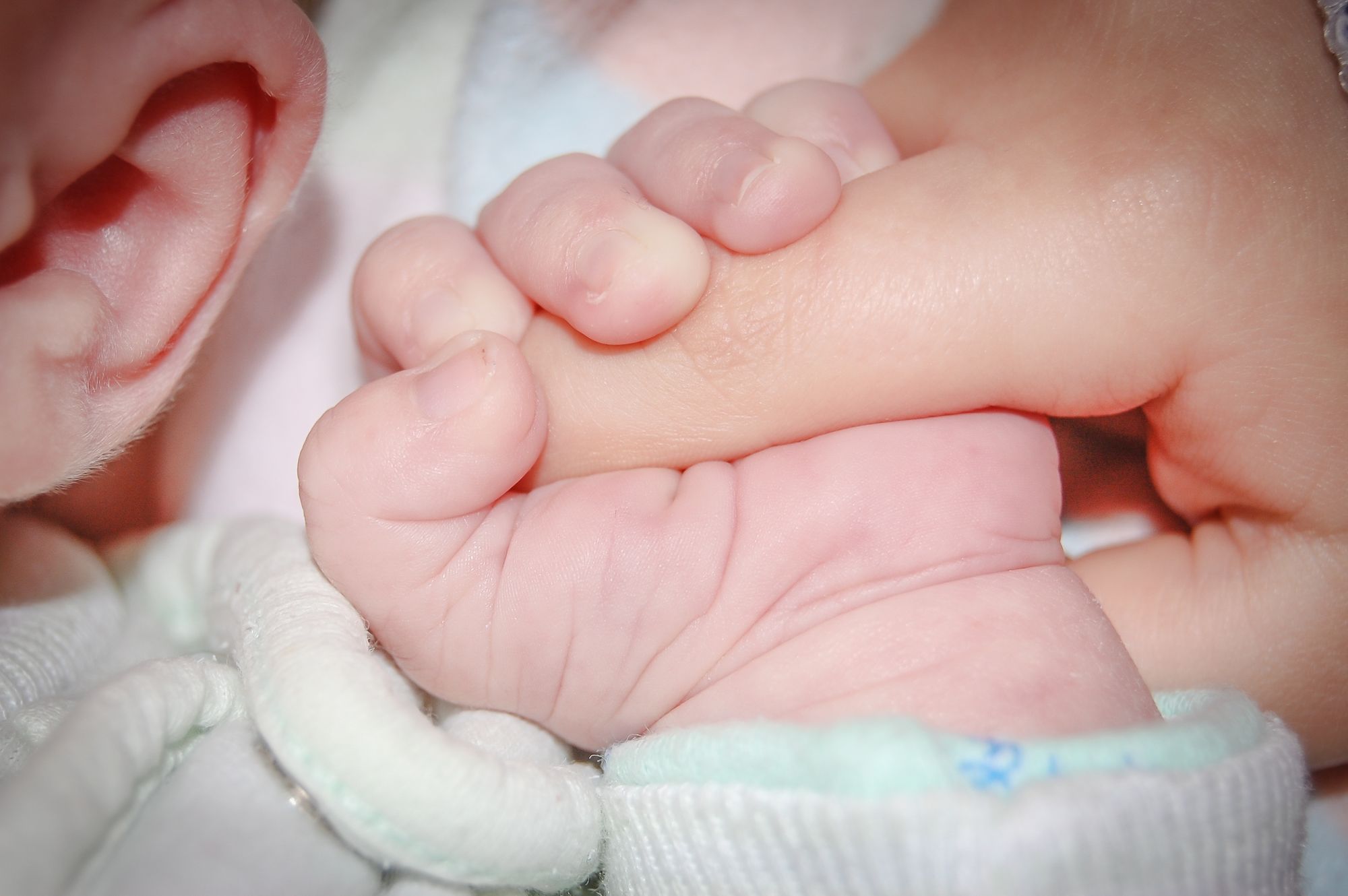 a baby's hand holding a baby's finger