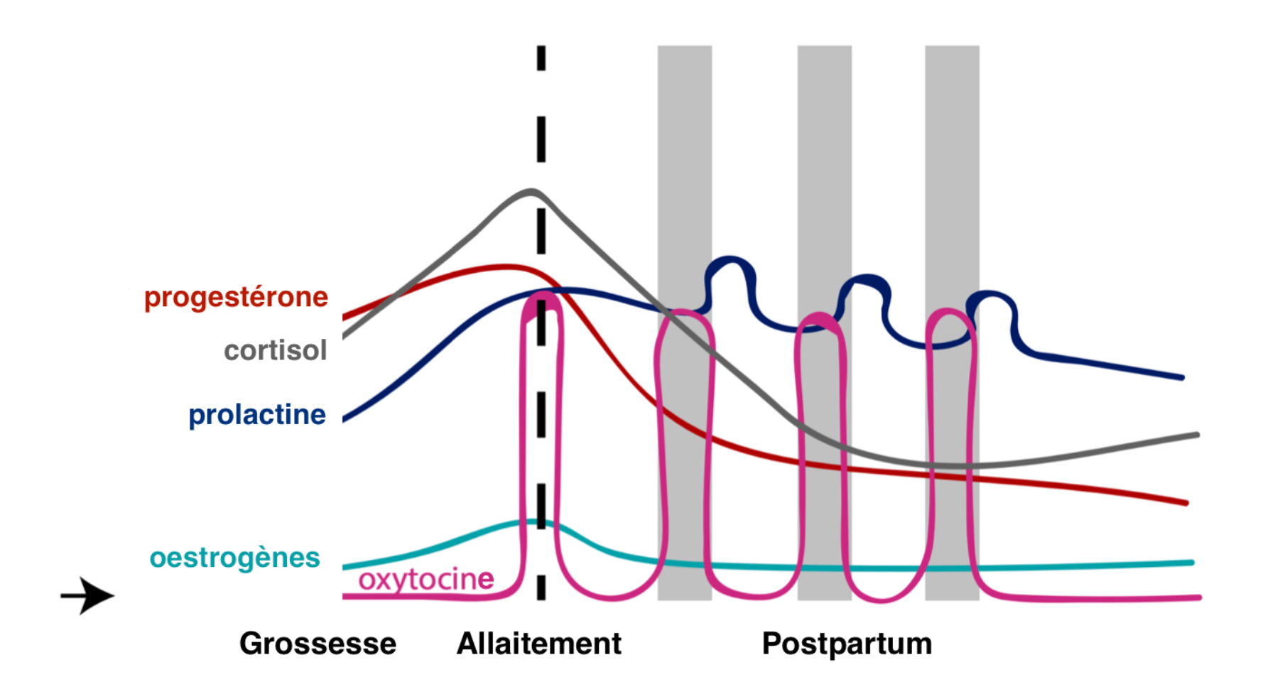 a diagram of a graph