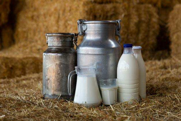 Différents contenants de lait illustrant les risques d'allergie au lait de vache pour les personnes sensibles.