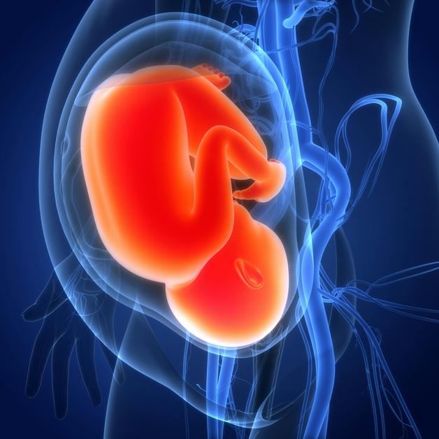 placenta praevia getty images 4jWYM3h HN4 unsplash