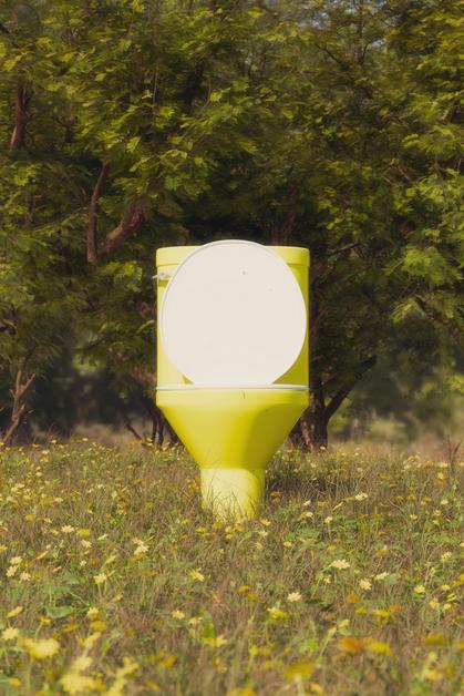 Toilettes en plein air entourées de fleurs, évoquant l'envie uriner grossesse et les besoins fréquents durant cette période.