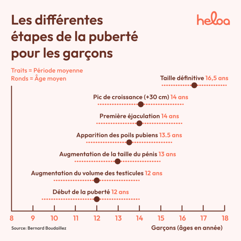 Test grossesse maison : tout savoir